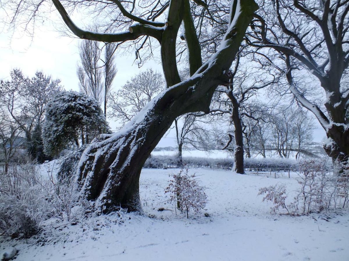 White House Farm Cottages West Haddon Экстерьер фото